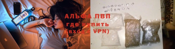 сатива Белокуриха