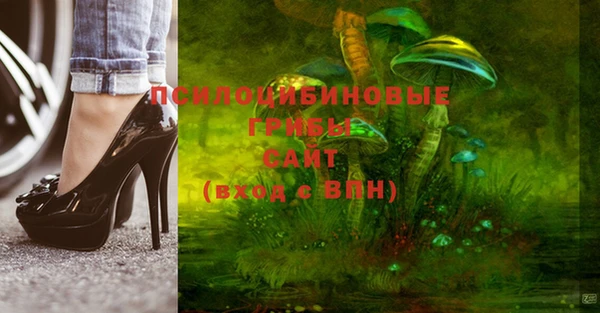 стафф Беломорск